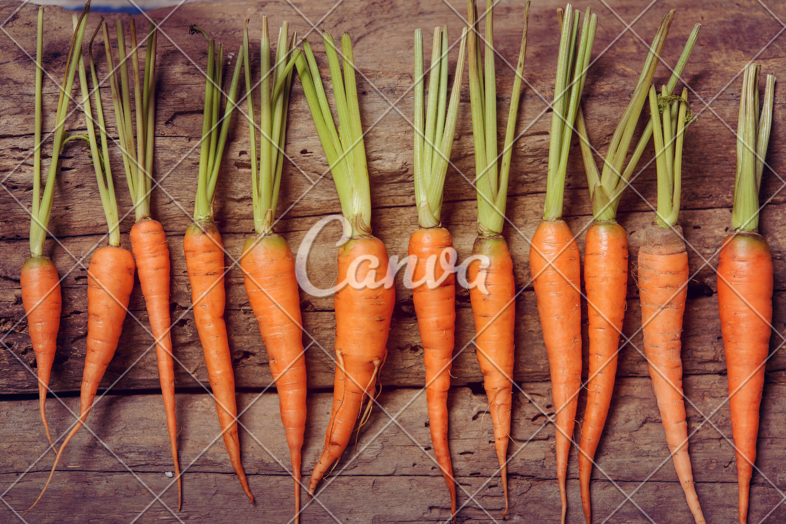 近期事故频发，公安部发出暑期自驾游交通安全预警